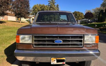 Ford-f250-1989-brown-9
