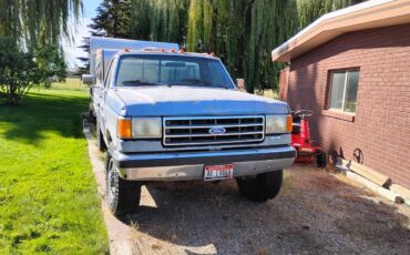 Ford-f250-1991-blue-1