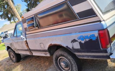 Ford-f250-1991-blue-3