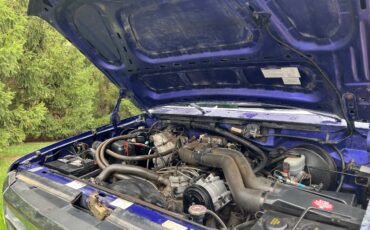 Ford-f250-1995-blue-4