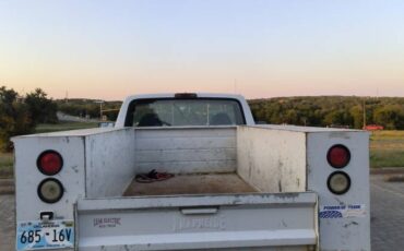 Ford-f250-1995-white-3