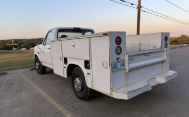 Ford-f250-1995-white-4