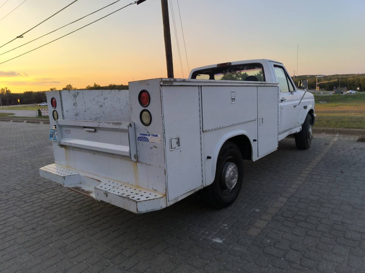 Ford-f250-1995-white-5