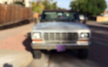 Ford-f250-4x4-1978-brown-2