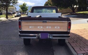 Ford-f250-4x4-1978-brown-3