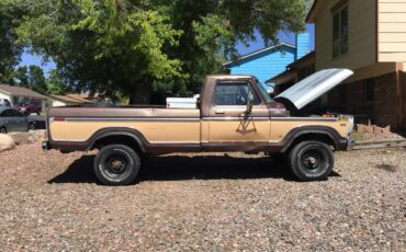 Ford-f250-4x4-1978-brown-4