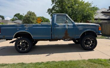 Ford-f250-4x4-1988-blue-5
