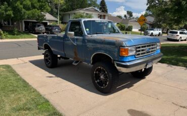 Ford-f250-4x4-1988-blue-8