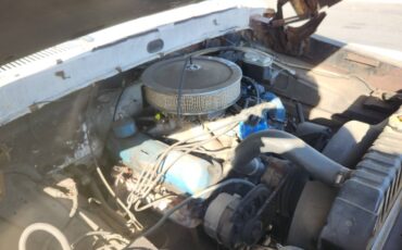 Ford-f250-ranger-camper-special-1968-white-1