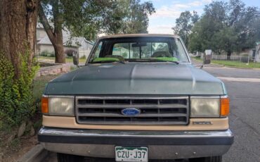 Ford-f250-super-duty-lariat-4x4-diesel-1989-10