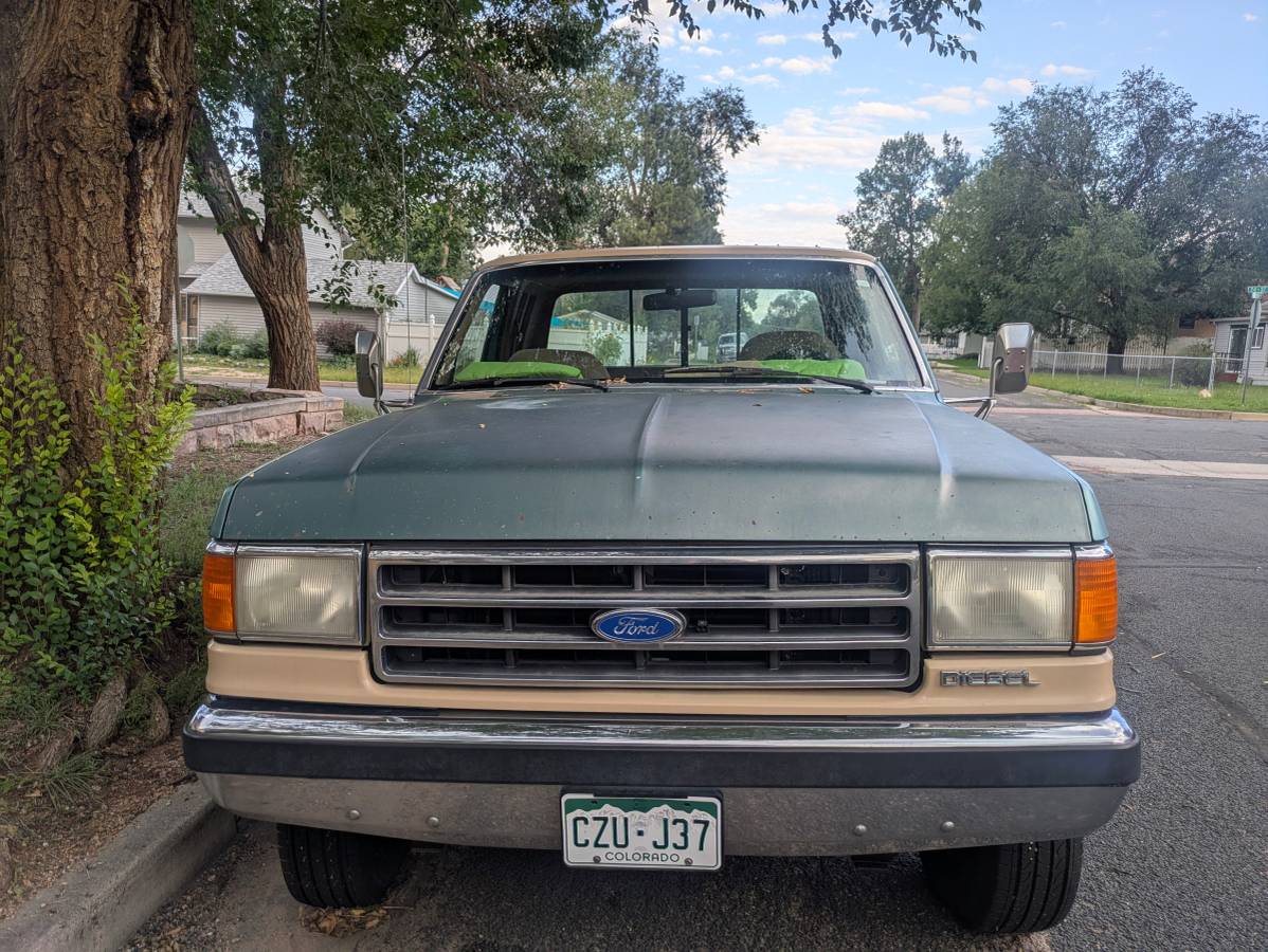 Ford-f250-super-duty-lariat-4x4-diesel-1989-10