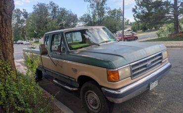 Ford-f250-super-duty-lariat-4x4-diesel-1989-9