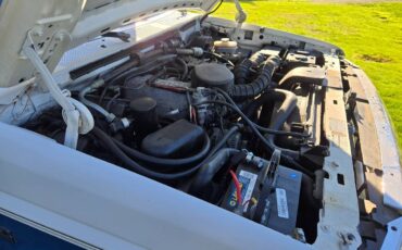 Ford-f250-xl-1993-white-5