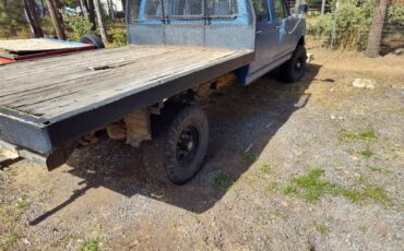 Ford-f350-1993-blue