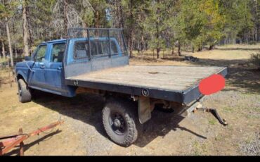 Ford-f350-1993-blue-4