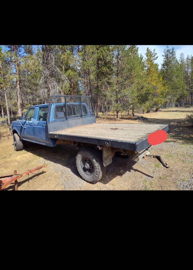 Ford-f350-1993-blue-4