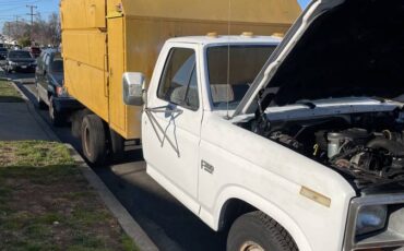 Ford-f350-diesel-1985-white-4