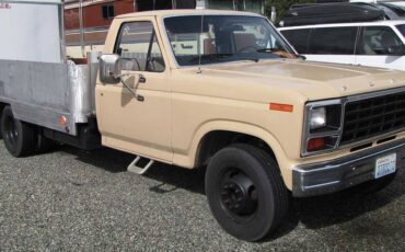 Ford-f350-dually-1981-brown-4