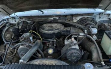 Ford-f350-super-duty-diesel-auto-1987-white-18