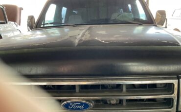 Ford-f350-super-duty-xlt-diesel-1991-blue-21