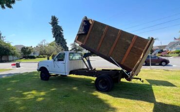 Ford-f450-super-duty-1991-white-7