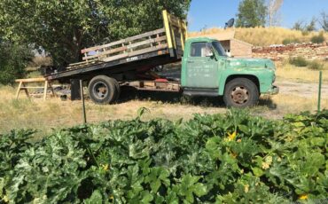 Ford-f600-1955-green-8
