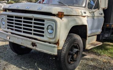 Ford-f600-1976-1