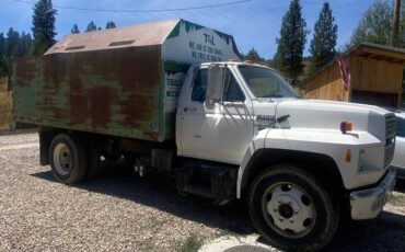 Ford-f600-diesel-1991-3