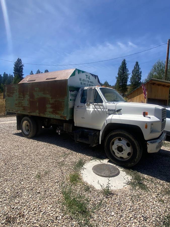 Ford-f600-diesel-1991-3