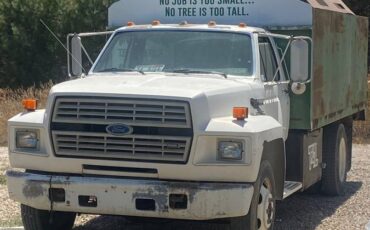 Ford-f600-diesel-1991-4