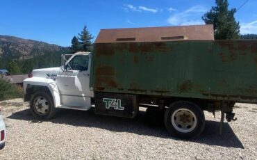 Ford-f600-diesel-1991-5