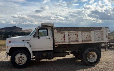 Ford-f800-diesel-1990-1