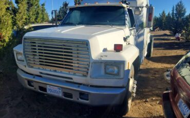 Ford-f800-diesel-1992-white-2