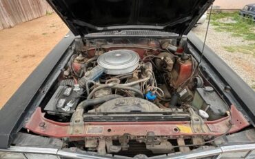 Ford-fairmont-1978-2