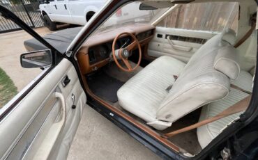Ford-fairmont-1978-8
