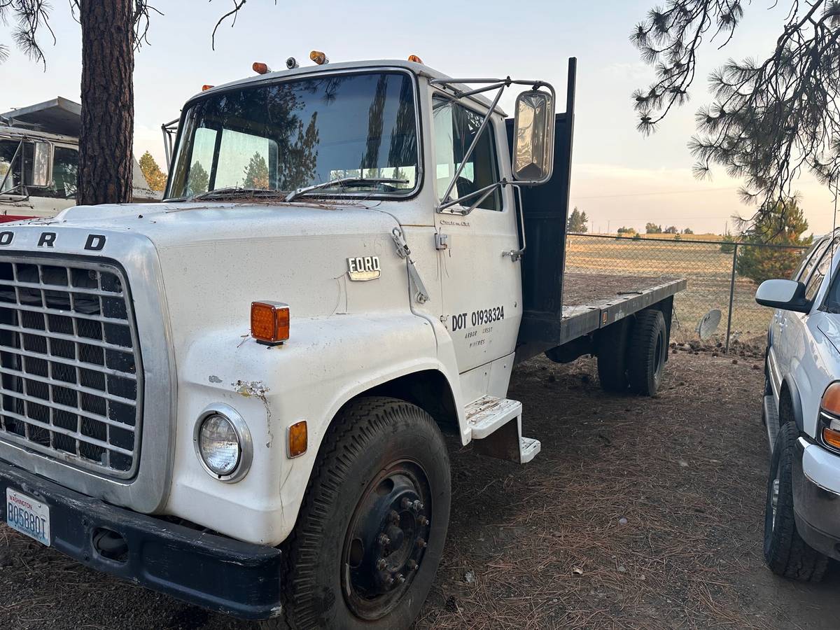 Ford-flatbed-1970-white-1