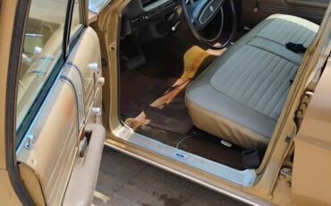 Ford-galaxie-500-1968-9