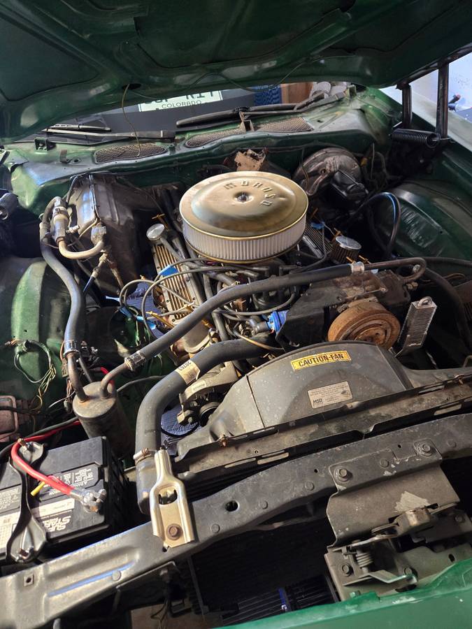 Ford-gran-torino-1974-green-11