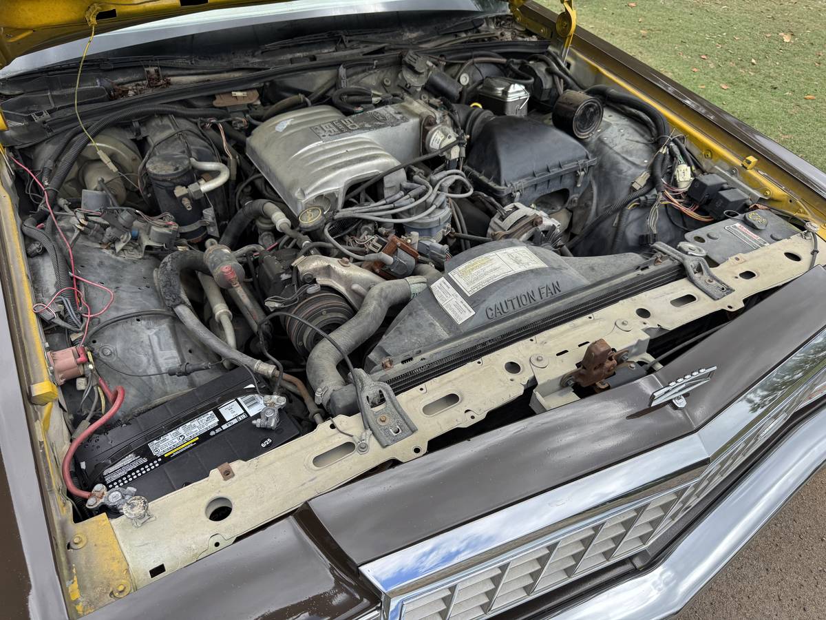 Ford-ltd-crown-victoria-1987-brown-12