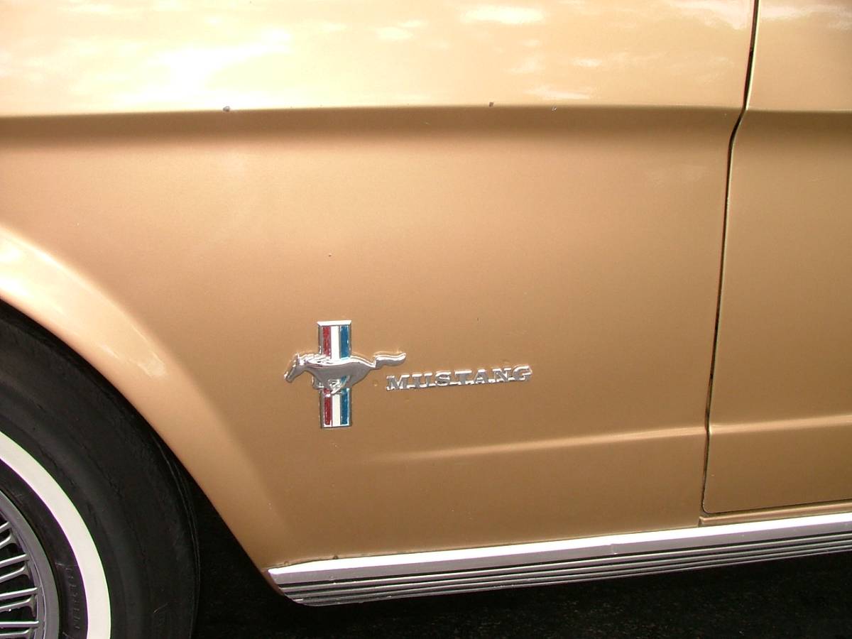 Ford-mustang-1965-1