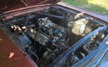 Ford-mustang-1966-2