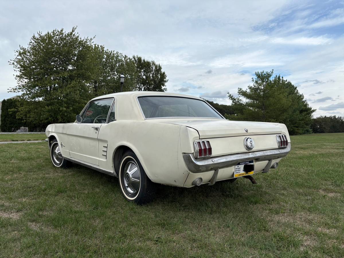 Ford-mustang-1966-white-2
