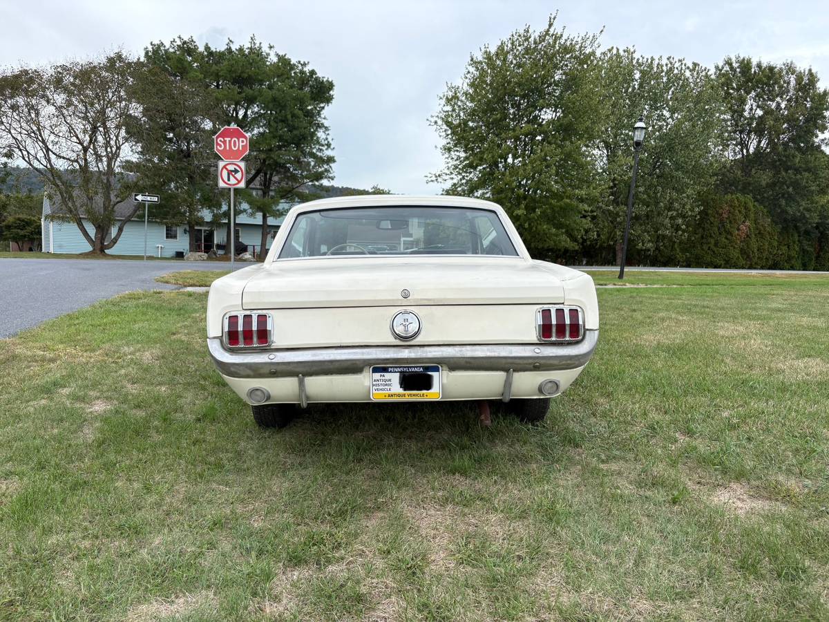 Ford-mustang-1966-white-3