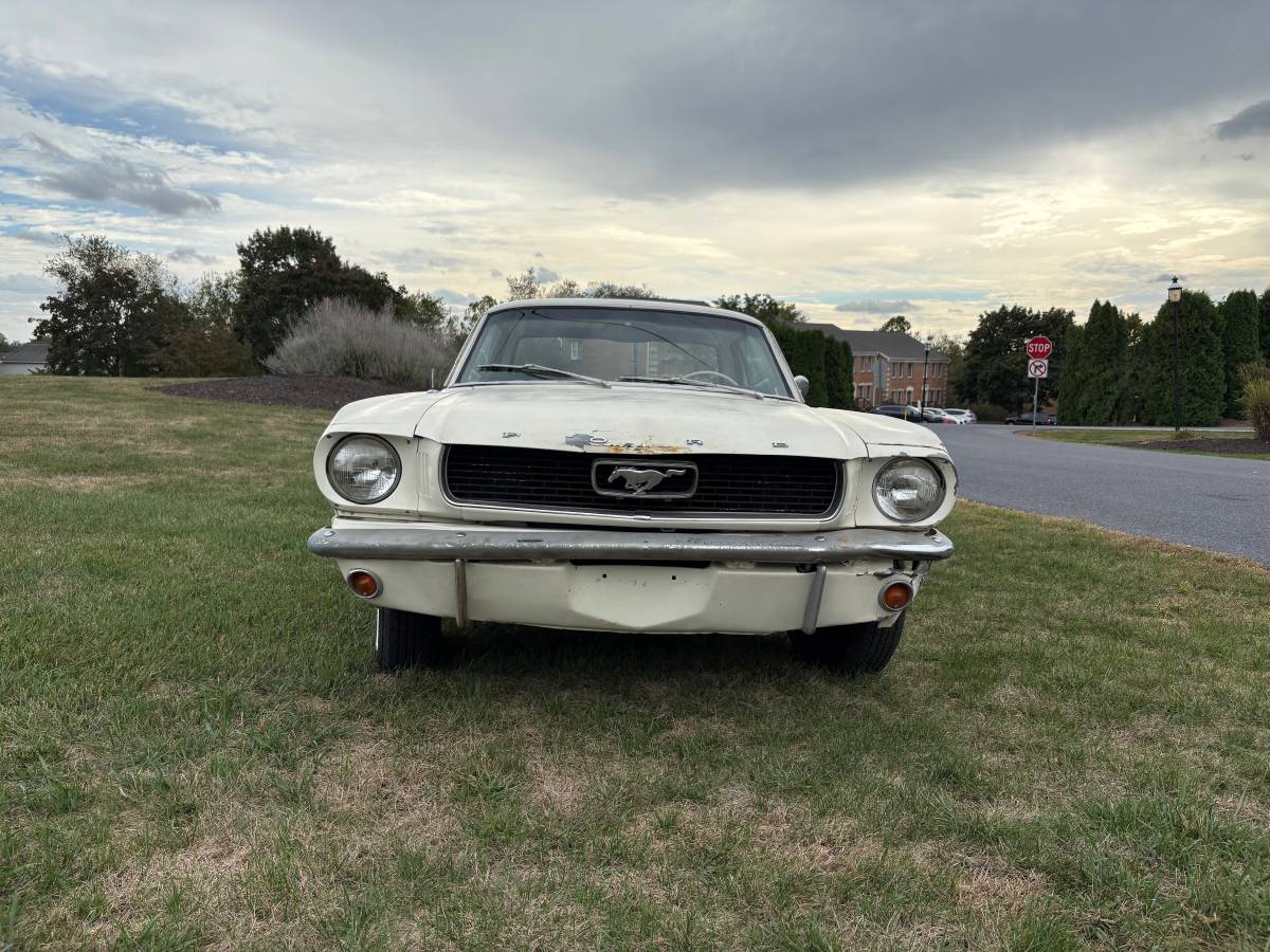 Ford-mustang-1966-white
