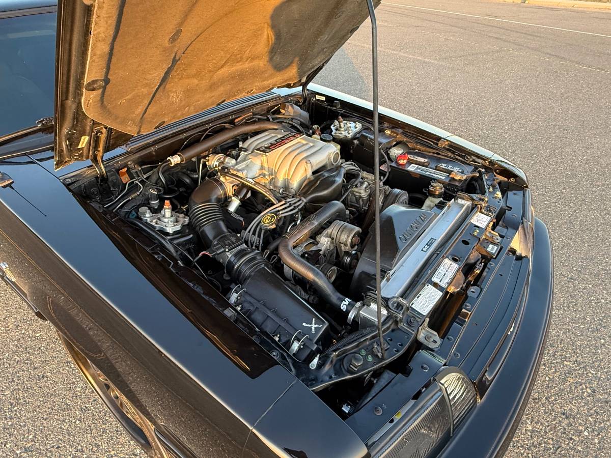 Ford-mustang-cobra-1993-114