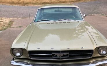 Ford-mustang-coupe-1965