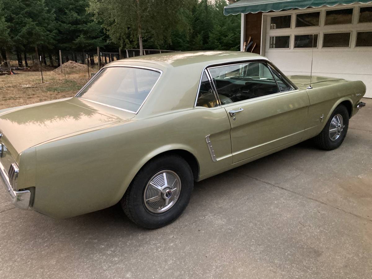 Ford-mustang-coupe-1965-9
