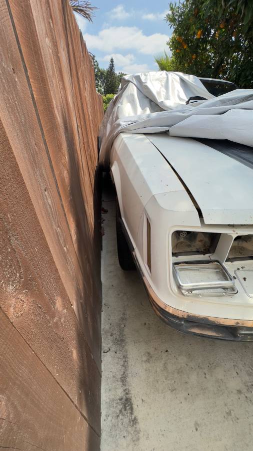 Ford-mustang-gt-1983-white-5