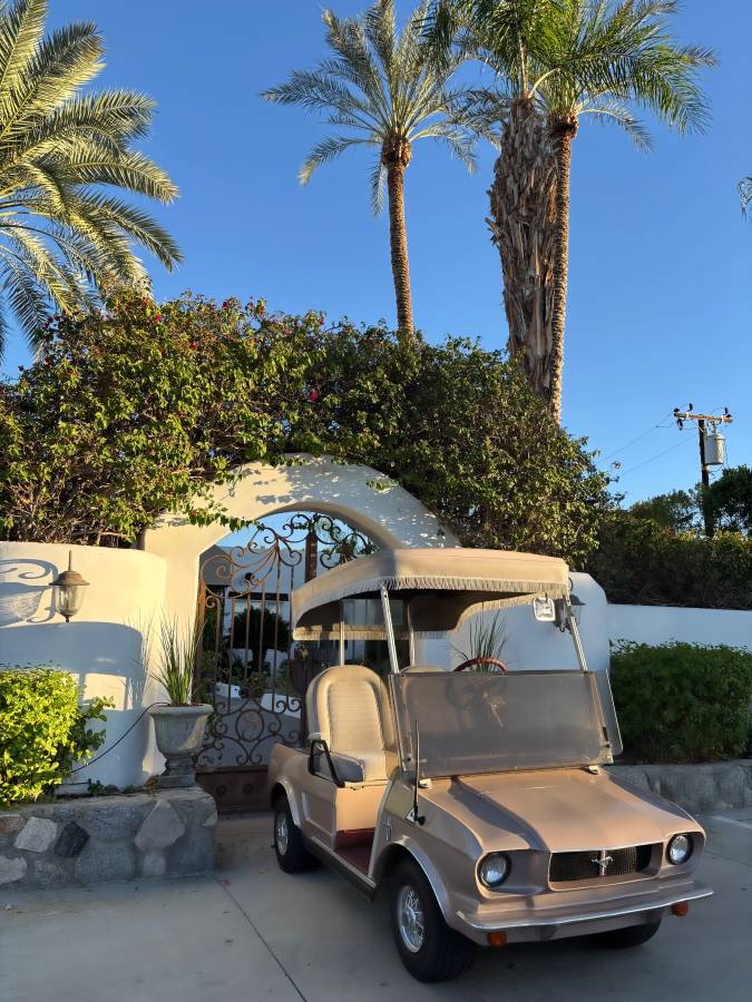 Ford-mustang-gt-289-golf-cart-electric-1965-3