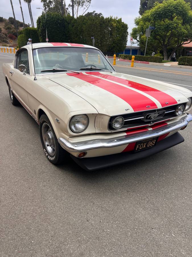 Ford-mustang-gt-fastback-1965-white-14